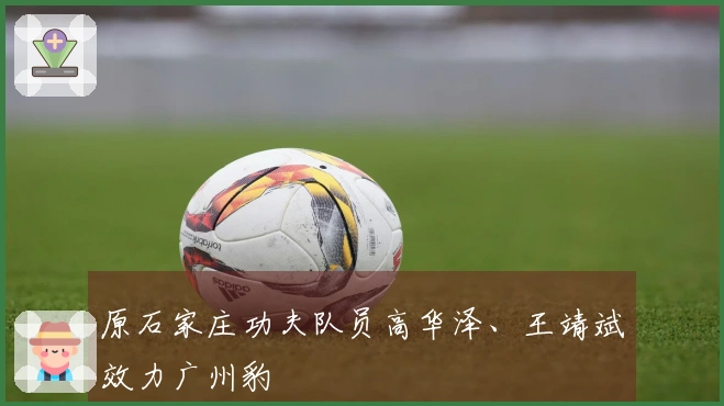 原石家庄功夫队员高华泽、王靖斌效力广州豹